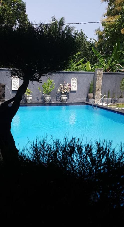 Hotel Mias Jungle House Lovina Exterior foto